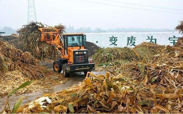 黑土地上的‘秸稈經(jīng)紀(jì)人’要讓秸稈牛起來(lái)，變成‘寶’