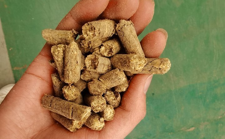 秸稈飼料顆粒機提高秸稈利用率，飼料顆粒機是以玉米、豆粕、秸稈、草、稻殼等為原料，通過粉碎原料后直接壓制成顆粒的飼料加工機械。