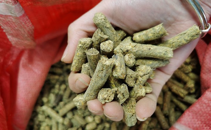 “小秸稈變身大能源?！痹擁椖客顿Y方負責人說，以往分散鍋爐房供熱成本高，供熱質(zhì)量不理想。如今，由生物質(zhì)發(fā)電的余熱供暖，熱效率達到80%以上，既可緩解煤炭短缺情況，又推動清潔供熱，為“碳達峰”“碳中和”目標實現(xiàn)貢獻力量