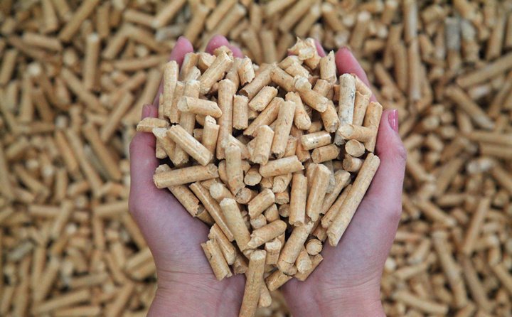 秸稈顆粒機械設備生產(chǎn)的生物質(zhì)燃料顆粒